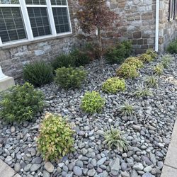 Ryan's Landscaping and Waste Management - Front garden