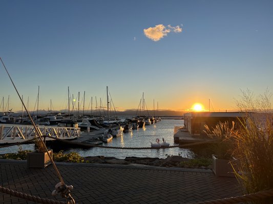 Farmers and Foragers Dockside by null