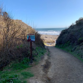 Año Nuevo State Park - New Years Creek Trail to Cove Beach - Beaches Near Me - Pescadero, California