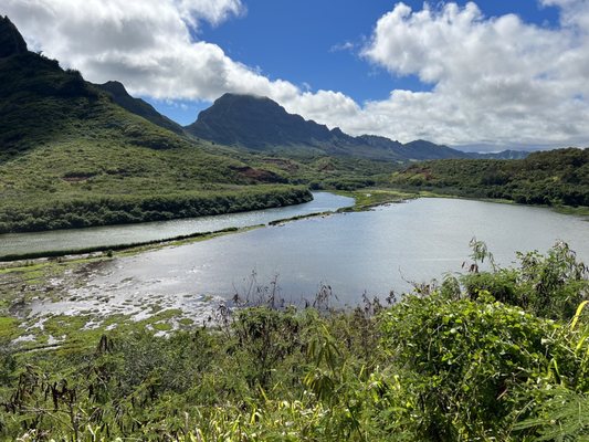 Menehune Fishpond by null
