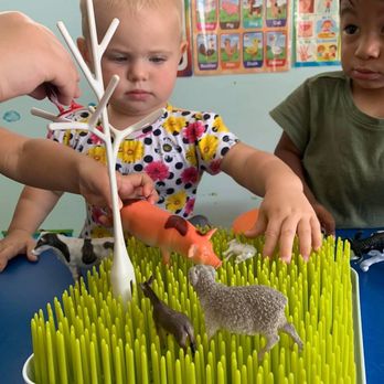 Alenka Your Learning Kids Academy - Farm animals lesson - Preschools Near Me - Orlando, Florida Alenka Your Learning Kids Academy - Farm animals lesson - Preschools Near Me - Orlando, Florida