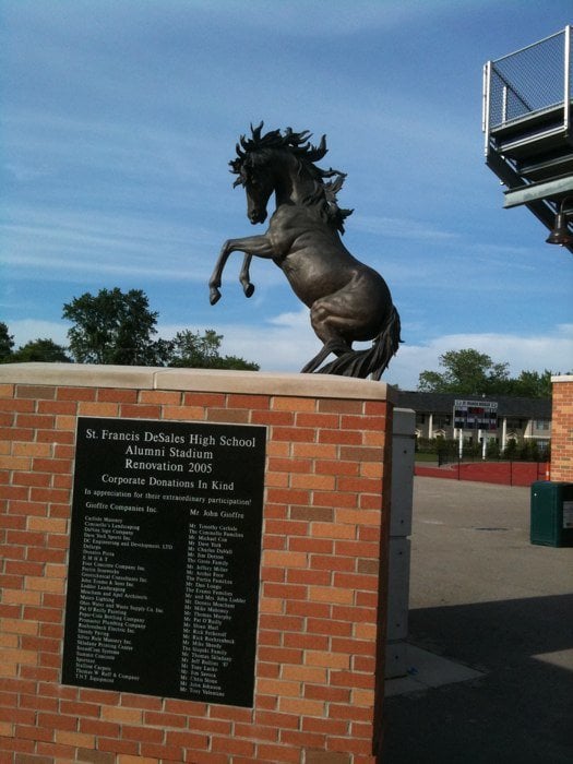 ST FRANCIS DE SALES HIGH SCHOOL Updated May 2024 4212 Karl Rd