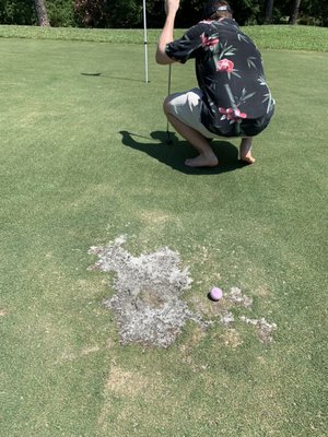 Emerald Bay Golf Club by null