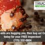Photo of Truckee Meadows Pest Control