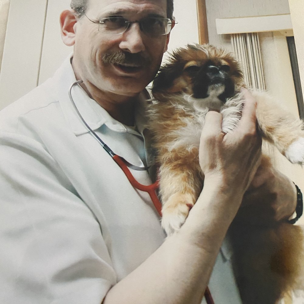 Farber Alan M DVM - Godfather Al and Jeter - Veterinarians Near Me - Englishtown, New Jersey Farber Alan M DVM - Godfather Al and Jeter - Veterinarians Near Me - Englishtown, New Jersey