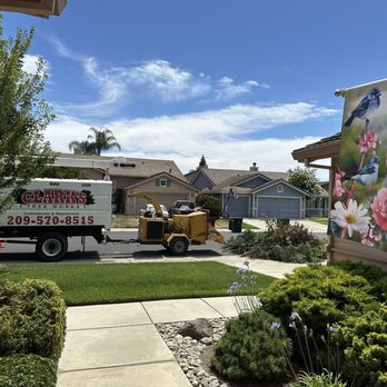 Clark's Tree Works - Company truck with chipper. - Tree Services Near Me - Modesto, California
