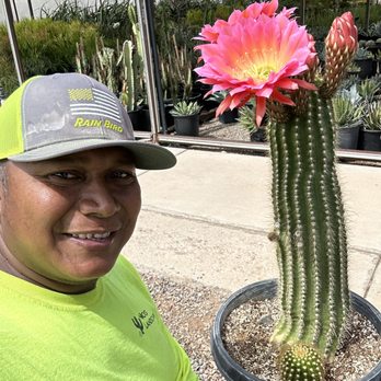 Nick's Landscaping - a man standing next to a cactus - Tree Services Near Me - Scottsdale, Arizona Nick's Landscaping - a man standing next to a cactus - Tree Services Near Me - Scottsdale, Arizona
