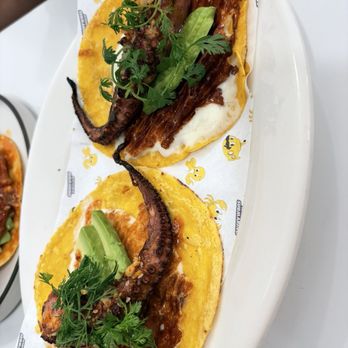 Mariscos El Submarino - Tacos The Craken - Seafood Near Me - Jackson Heights, New York Mariscos El Submarino - Tacos The Craken - Seafood Near Me - Jackson Heights, New York