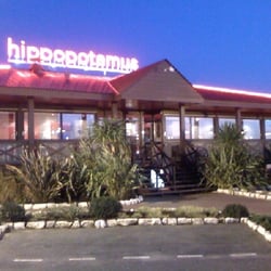 Hippopotamus