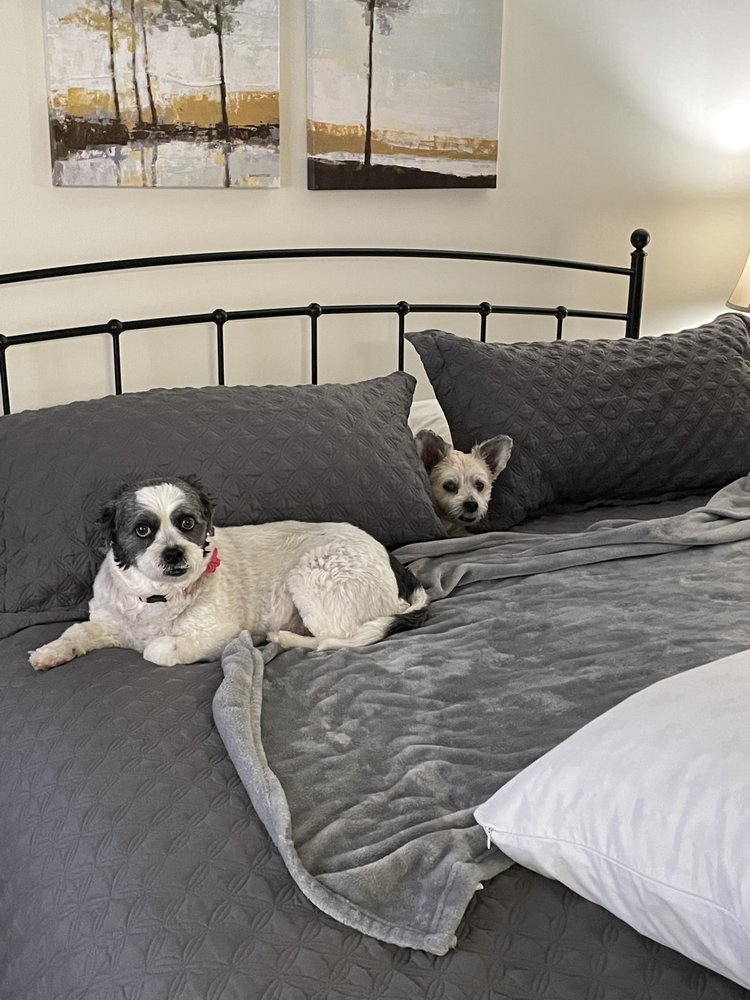 COMMUNITY CRITTER CARE Updated September 2024 23 Photos & 10