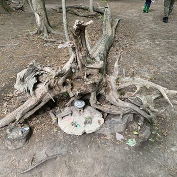 South Mountain Fairy Trail - Kids Activities Near Me