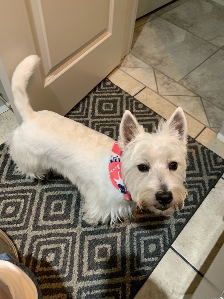 NORTH CREEK ANIMAL HOSPITAL Updated October 2024 2051 Fm 2276