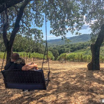 Buehler Vineyards - The most amazing views are up at Buehler winery! - Wineries Near Me - Saint Helena, California