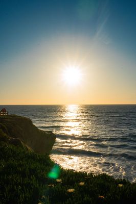 Lifeguard La Jolla Cove by null