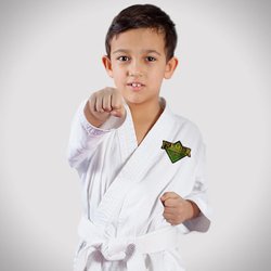 Premier Martial Arts Mount Pleasant
