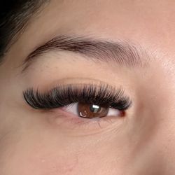 Perfect Lashes