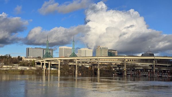 Tom McCall Waterfront Park by null