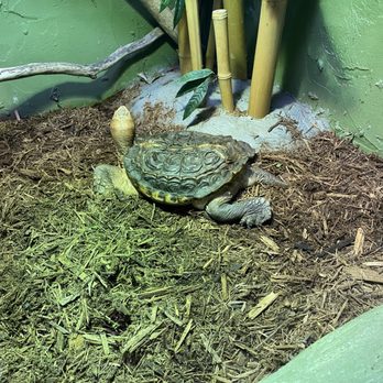 Reptilia - Zoos Near Me - Whitby, Ontario