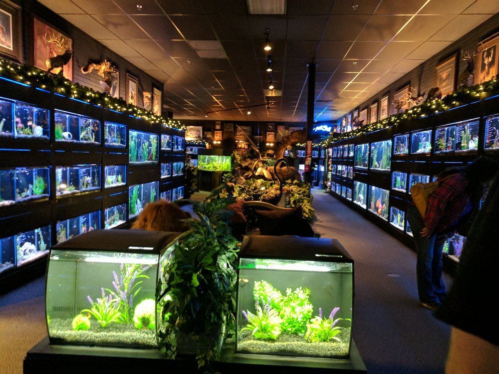 Bridges Pets Gifts & Water Gardens 53 Photos & 118 Reviews Pet