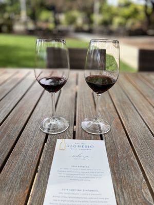 Seghesio Family Vineyards by null