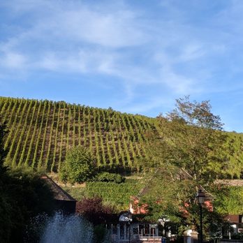 Dopff au Moulin - Wineries Near Me - Riquewihr, 68 Dopff au Moulin - Wineries Near Me - Riquewihr, 68