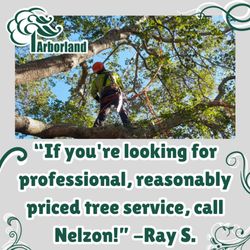 Arborland Tree Service - Tree Pruning Emergency Services Tree Removal View Enhancement Stump Grinding Brush Chipping Shrubs & Hedges Cabling Tree Service Arborists