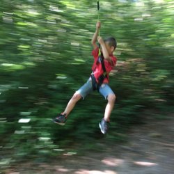 Cimes Aventures - Parcours en ligne de vie continue