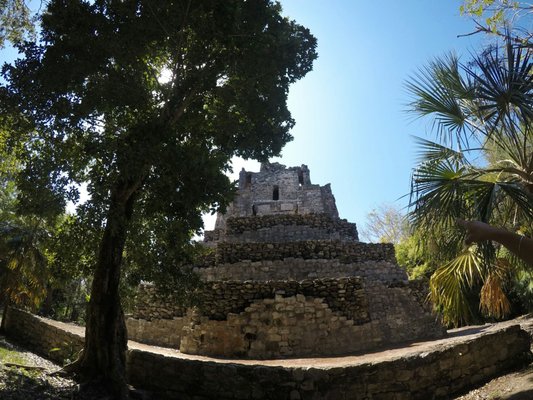 Zona Arqueológica de Muyil by null