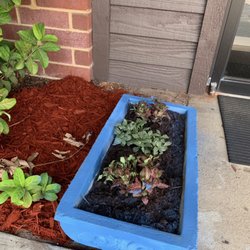 Jacksonville Emergency & Family Dental Care - Sprucing up for spring!