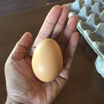 Billy's Egg Farm - Jumbo eggs are huge!!! - Specialty Food Near Me - Chino, California