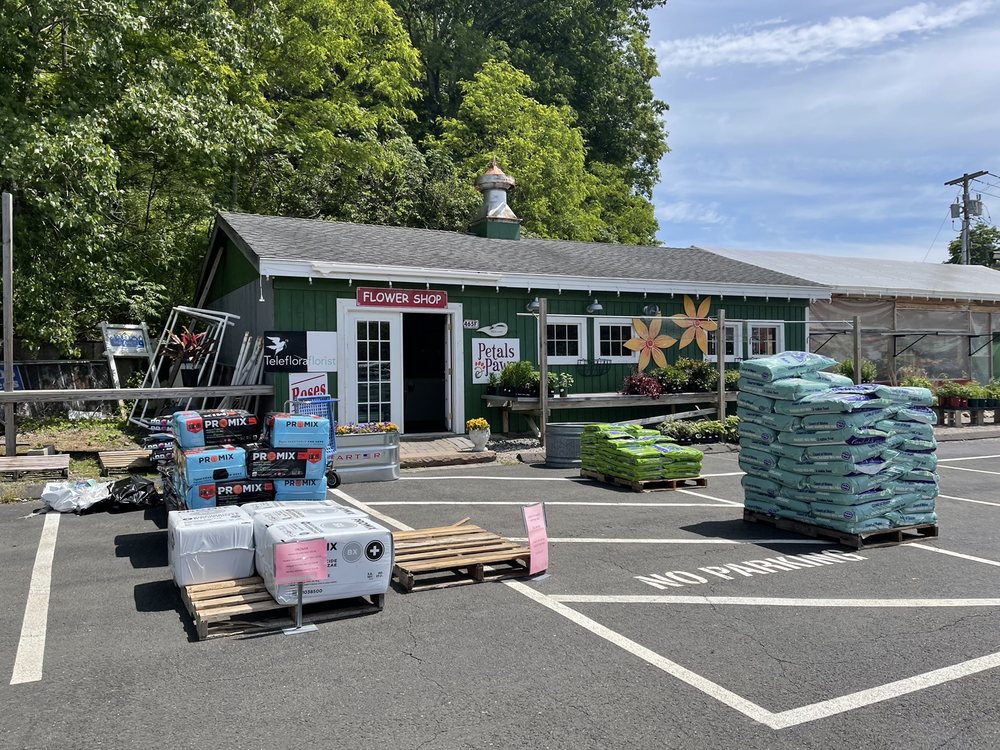 PETALS & PAWS Updated September 2024 72 Photos & 16 Reviews 465