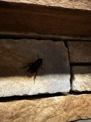 Second Street American Bistro by null