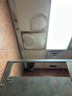 Rise & Shine by null