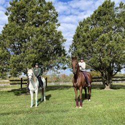Southern Sky Stables