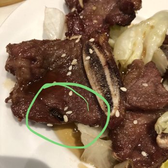 Imperial Restaurant - Found a bug in my food, smh - Dim Sum Near Me - Chicago, Illinois Imperial Restaurant - Found a bug in my food, smh - Dim Sum Near Me - Chicago, Illinois