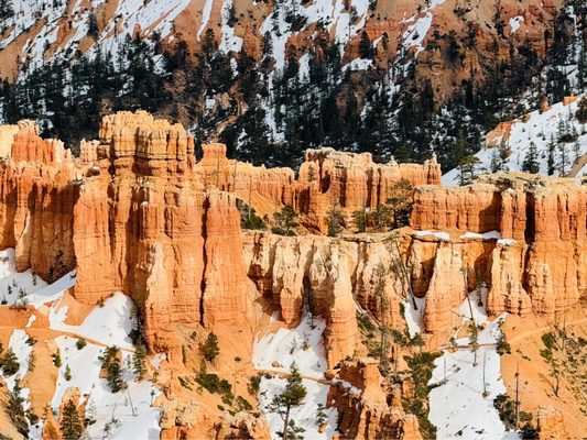 Bryce Amphitheater by null