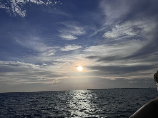 Kitty Hawk Kites by null