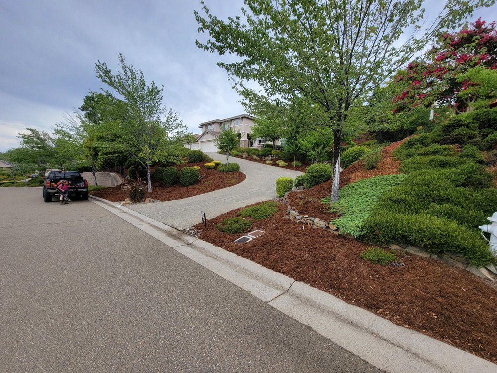 Slide of The Handy Couple