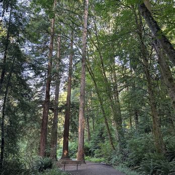 Cowen Park - Parks Near Me - Seattle, Washington Cowen Park - Parks Near Me - Seattle, Washington