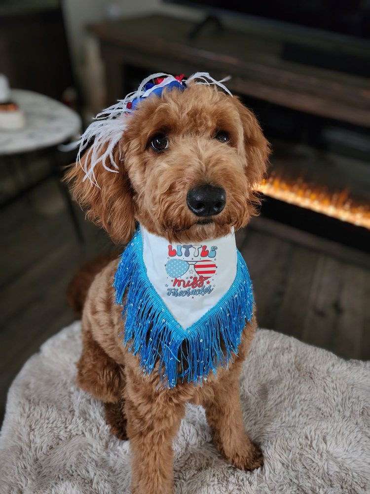 SCENTHOUND Updated October 2024 26 Photos & 19 Reviews 19073