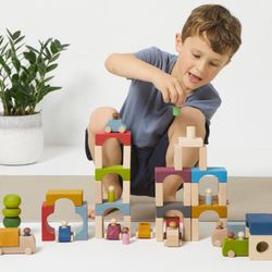 Flying Pig Toys