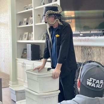 Snake Encounters - Daryl is awesome! He has some of the sweetest and coolest snakes. - Party & Event Planning Near Me Snake Encounters - Daryl is awesome! He has some of the sweetest and coolest snakes. - Party & Event Planning Near Me