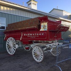 Horses, Hops and Cops