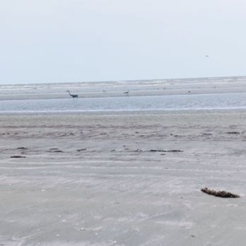 Sea Rim State Park - Parks Near Me - Sabine Pass, Texas Sea Rim State Park - Parks Near Me - Sabine Pass, Texas