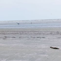 Sea Rim State Park