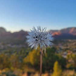 Dynamic Journey Tours