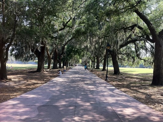 Forsyth Park by null