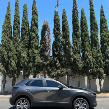 Cartel Tints - Car Window Tinting Near Me Cartel Tints - Car Window Tinting Near Me