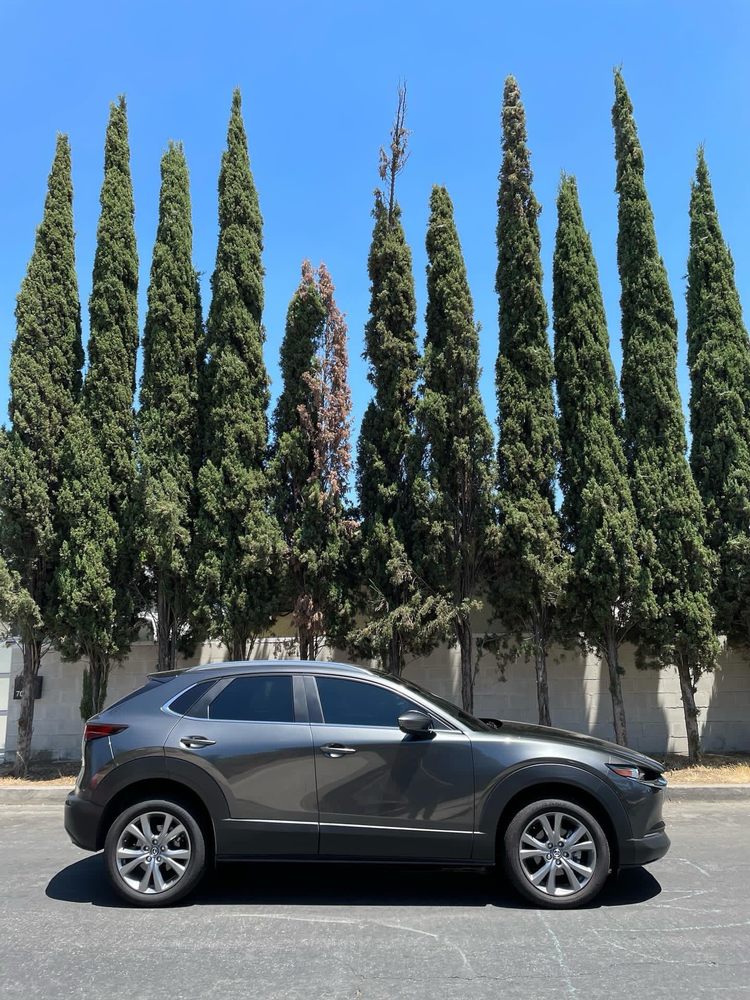 CARTEL TINTS Updated October 2024 Van Nuys, California Car Window