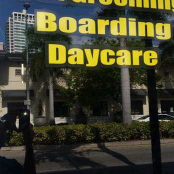 Orange Grooming - Pet boarding, grooming, and daycare - Pet Groomers Near Me - Miami, Florida Orange Grooming - Pet boarding, grooming, and daycare - Pet Groomers Near Me - Miami, Florida